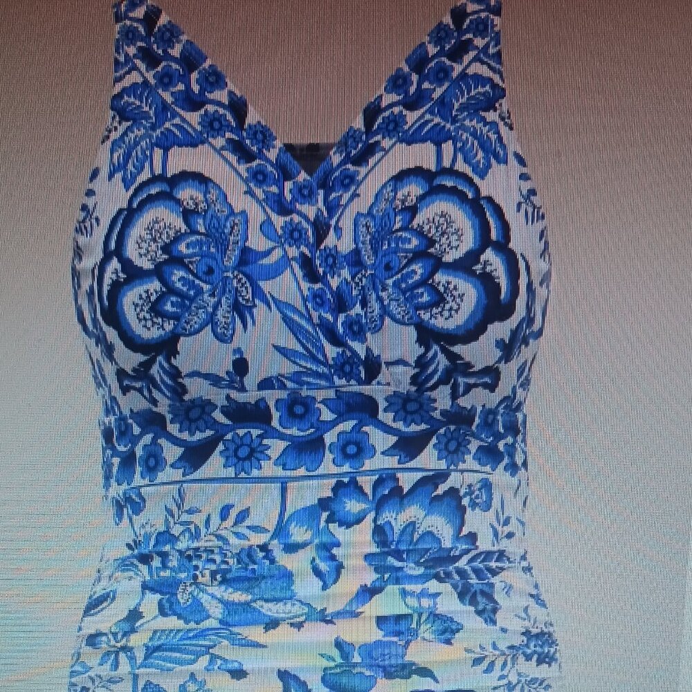 Bloom Chic Never Worn One Piece Blue and White Flower Plus Size Bathing Suit